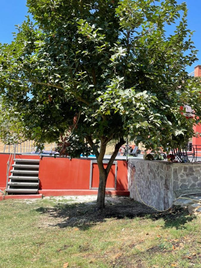 Luxury Villa Arianna Tarano Bagian luar foto